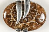 Fossil Ammonite Pendant - Million Years Old #205796-1